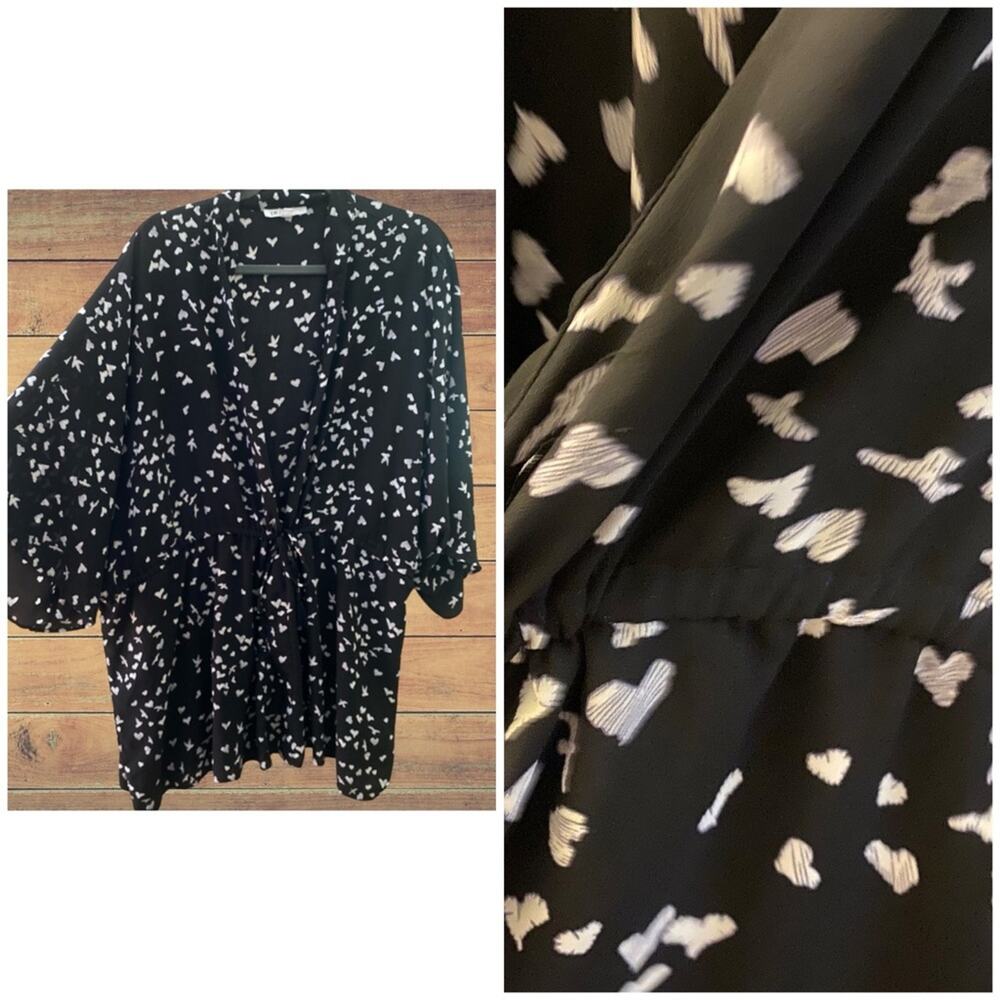 DR2 Daniel Rainn plus size kimono style blouse